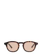 Todd Solbriller Brown Corlin Eyewear