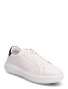 Low Top Lace Up Lth Lave Sneakers White Calvin Klein