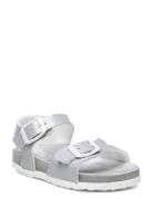 Sl Dolphin Jelly Patent Silver Shoes Summer Shoes Sandals Silver Schol...