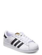 Superstar C Lave Sneakers White Adidas Originals