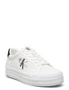 Bold Vulc Flatf Low Lace Lth Ml Lave Sneakers White Calvin Klein