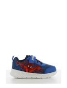 Spiderman Sneakers Lave Sneakers Blue Spider-man