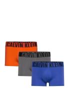 Trunk 3Pk Boksershorts Blue Calvin Klein