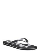 Eva-Bolt-Sn-Csl Flip-flopper Sandaler Black Polo Ralph Lauren