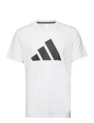 Tr-Es Fr Logo T Sport T-shirts Short-sleeved White Adidas Performance
