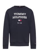 Th Logo Sweatshirt Tops Sweat-shirts & Hoodies Sweat-shirts Navy Tommy...