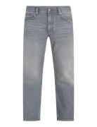 Straight Denton Str Tuxis Grey Bottoms Jeans Regular Grey Tommy Hilfig...