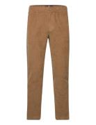 Hco. Guys Pants Bottoms Trousers Chinos Brown Hollister