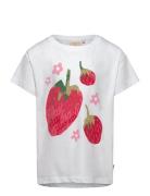 Fragola T-Shirt Tops T-shirts Short-sleeved Multi/patterned Ma-ia Fami...