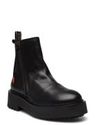 Carla W Shoes Boots Ankle Boots Ankle Boots Flat Heel Black Sneaky Ste...