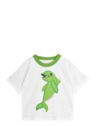 Dolphin Sp Ss Tee Tops T-shirts Short-sleeved Green Mini Rodini