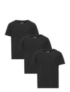 Claudio Boys 3-Pack T-Shirt Tops T-shirts Short-sleeved Black Claudio