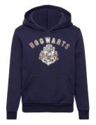 Sweat Kangourou Tops Sweat-shirts & Hoodies Hoodies Navy Harry Potter