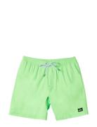 Everyday Solid Volley Yth 14 Badeshorts Green Quiksilver