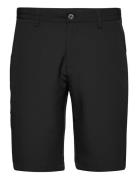 Pancras Shorts Sport Shorts Sport Shorts Black Lexton Links