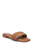 Allure Sandal Flate Sandaler Brown Steve Madden