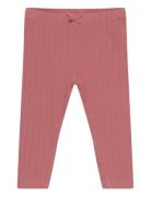 Leggings Bottoms Leggings Pink En Fant