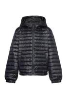 Shiny Light Padded Down Jacket Fôret Jakke Black GANT