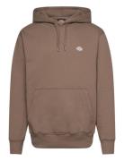 Summerdal Tops Sweat-shirts & Hoodies Hoodies Brown Dickies