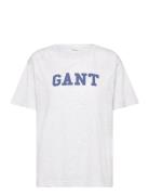 Graphic Ss T-Shirt Tops T-shirts & Tops Short-sleeved Grey GANT