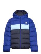 J Sd Jkt Fôret Jakke Blue Adidas Sportswear