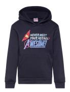 Sweats Tops Sweat-shirts & Hoodies Hoodies Navy Marvel