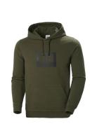 Hh Box Hoodie Sport Sweat-shirts & Hoodies Hoodies Green Helly Hansen