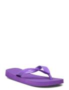 Hav. Top Shoes Summer Shoes Sandals Flip Flops Purple Havaianas