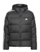 W Ess M D Ho J Sport Jackets Padded Jacket Black Adidas Sportswear