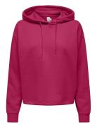 Onpcomfort Ls Brush Hood Swt Tops Sweat-shirts & Hoodies Hoodies Pink ...