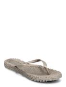 Flip Flop With Logo Shoes Summer Shoes Sandals Flip Flops Beige Ilse J...