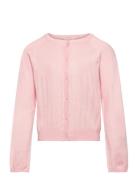 Cardigan Pointelle Tops Knitwear Cardigans Pink Creamie