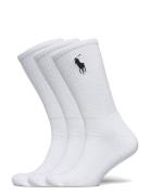 Big Pony Crew Sock 3-Pack Underwear Socks Regular Socks White Polo Ral...