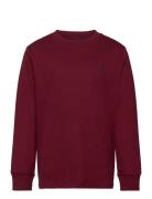 Cotton Jersey Long-Sleeve Tee Tops Sweat-shirts & Hoodies Sweat-shirts...