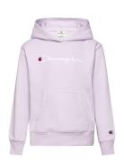 Hooded Sweatshirt Tops Sweat-shirts & Hoodies Hoodies Pink Champion