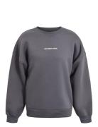 Sweatshirt Tops Sweat-shirts & Hoodies Sweat-shirts Grey Hound