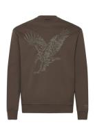 Sweatshirt Tops Sweat-shirts & Hoodies Sweat-shirts Brown Armani Excha...