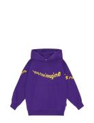 Maxx Tops Sweat-shirts & Hoodies Hoodies Purple Molo