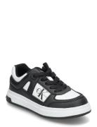 Calvin Klein Jeans Low-Cut Lace-Up Sneaker Lave Sneakers Black Calvin ...