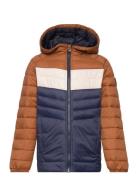 Jjesprint Puffer Hood Noos Jnr Fôret Jakke Navy Jack & J S