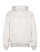 Hco. Guys Sweatshirts Tops Sweat-shirts & Hoodies Hoodies Grey Hollist...