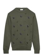 Hcpelle - Jumper Tops Knitwear Pullovers Khaki Green Hust & Claire