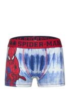 Boxer Night & Underwear Underwear Underpants Blue Spider-man