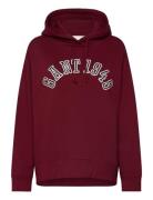 Gant 1949 Arch Hoodie Tops Sweat-shirts & Hoodies Hoodies Burgundy GAN...