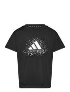 Jg Gl Tee Tops T-shirts Short-sleeved Black Adidas Sportswear