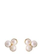 Bay Earsticks Accessories Jewellery Earrings Studs Gold Pernille Coryd...