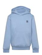 Hoodie Hettegenser Genser Blue Adidas Originals