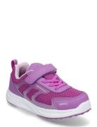 Perry Pax Lave Sneakers Purple PAX