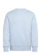 Reg Tonal Shield C-Neck Sweat Tops Sweat-shirts & Hoodies Sweat-shirts...