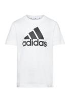 U Bl Tee Sport T-shirts Short-sleeved White Adidas Sportswear